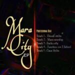 Professional Beat – Cana Violin