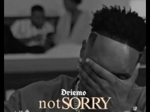 Driemo - NOT SORRY