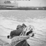 Vicoka – Spirit Slowed First Verse