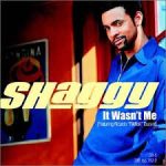 Shaggy – It Wasn’t Me