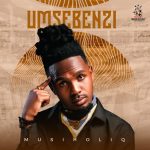 MusiholiQ – Umsebenzi