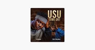 S_model - Usu enwe Onu ( Remix)