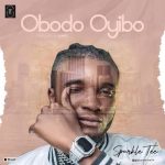 Sparkle Tee – Obodo Oyibo