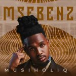 MusiholiQ – Umsebenzi
