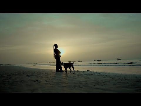 An2 Adi Sparky - Mangso (God)