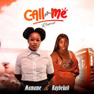Mamamenani1- Call on me (Remix)