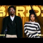 D Voice feat Zuchu – Baridi